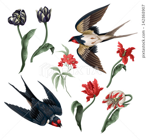 Swallow Isolated Floral Set with Flying Birds Tulips and Spring Botanical Elements Clipart 142868907