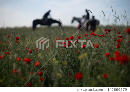 Red poppy meadow at golden hour with horse rider in soft focus, peaceful countryside scene. Red poppy meadow at golden hour with horse rider in soft focus, peaceful countryside scene. 142869279