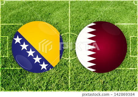 Bosnia and Herzegovina vs Haiti football match Bosnia and Herzegovina vs Haiti football match 142869384