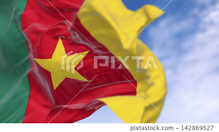 Cameroon national flag waving in the wind Cameroon national flag waving in the wind 142869527