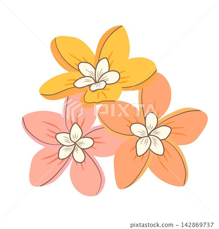 Vector illustration of three tropical plumeria flowers. Hand drawn exotic floral element in pastel colors for logo design, wedding card, and icon. Vector illustration of three tropical plumeria flowers. Hand drawn exotic floral element in pastel colors for logo design, wedding card, and icon. 142869737