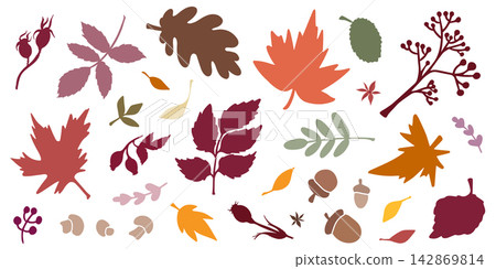 Vector clipart set of autumn leaves, berries, acorns, and branches. Autumnal botanical elements for thanksgiving, back to school, and fall design. 142869814