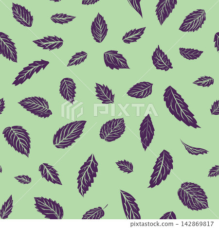 Seamless Basil Leaf Pattern on Mint Background 142869817