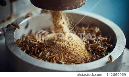 Crickets processing into flour for sustainable protein Crickets processing into flour for sustainable protein 142869969