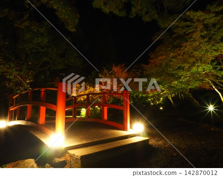 夜幕降臨,朱紅色的關月橋燈火輝煌,彌彥公園的秋葉也映襯著這番美景。 夜幕降臨,朱紅色的關月橋燈火輝煌,彌彥公園的秋葉也映襯著這番美景。 142870012