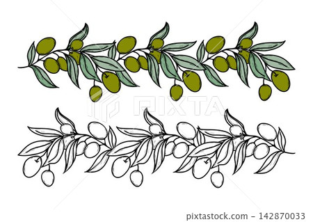Olive Branch Seamless Border Vector Set with Green and Line Art 142870033