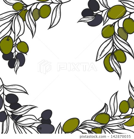 Olive Branch Square Frame for Social Media Post and Label Design Olive Branch Square Frame for Social Media Post and Label Design 142870035