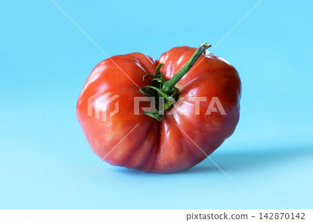 Naturally misshapen ripe red tomato with pronounced lobes, deep grooves, and irregular asymmetrical form, on bright blue background. Natural imperfections and variation in fresh agricultural produce Naturally misshapen ripe red tomato with pronounced lobes, deep grooves, and irregular asymmetrical form, on bright blue background. Natural imperfections and variation in fresh agricultural produce 142870142