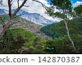 Scenic Mountains Near Petrovac With Lush Pine Forest 142870387