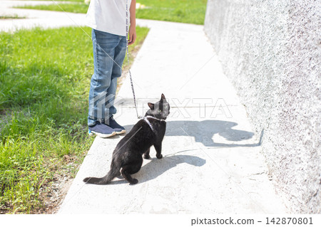 A boy walks with a black cat outdoors. A boy walks with a black cat outdoors. 142870801