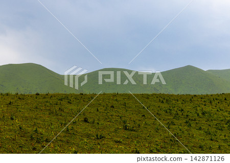 Serene Rolling Green Hills Landscape in Kyrgyzstan 142871126