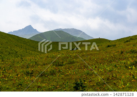 Green Rolling Hills and Distant Mountains in Kyrgyzstan Green Rolling Hills and Distant Mountains in Kyrgyzstan 142871128