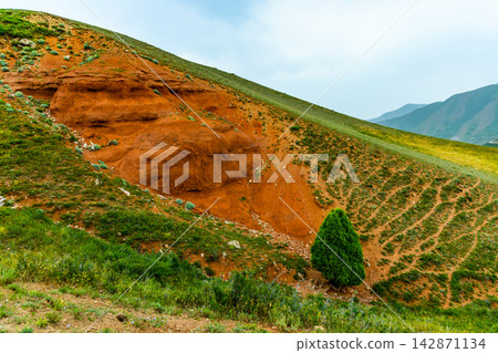 Hilly Landscape with Orange Clay Rock Formations and Green Grass 142871134