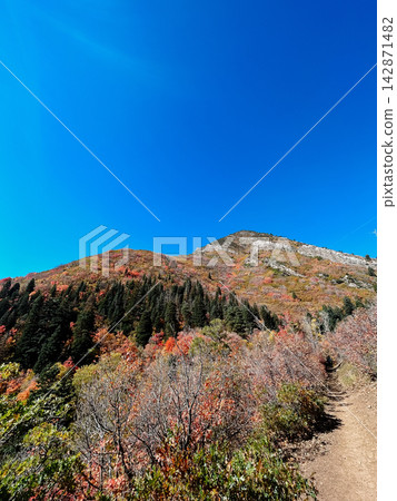 Colorful autumn mountain landscape in Millcreek Canyon, Utah Colorful autumn mountain landscape in Millcreek Canyon, Utah 142871482