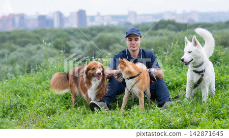 A Caucasian man walks with three dogs. Dog walker. A Caucasian man walks with three dogs. Dog walker. 142871645