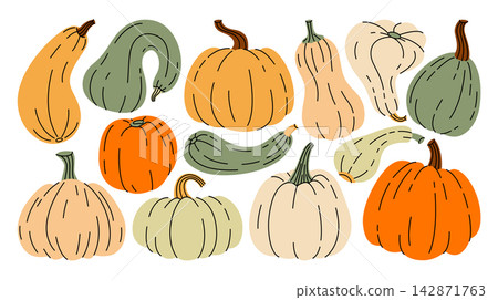 Hand drawn autumn set of colorful pumpkins, gourds, squash with petioles and decorative fall vegetables in various whimsical shapes and size. Botanical vector illustrations for Halloween, Thanksgiving Hand drawn autumn set of colorful pumpkins, gourds, squash with petioles and decorative fall vegetables in various whimsical shapes and size. Botanical vector illustrations for Halloween, Thanksgiving 142871763