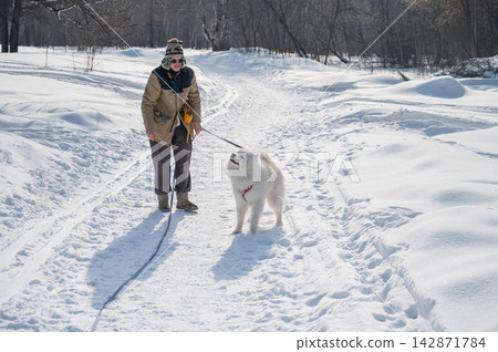 Young woman walking with fluffy samoyed dog in snowy winter park. Young woman walking with fluffy samoyed dog in snowy winter park. 142871784