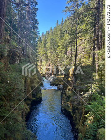 An amazing sunny view of gushing Silver Falls in Mt. Rainier National Park. An amazing sunny view of gushing Silver Falls in Mt. Rainier National Park. 142872372