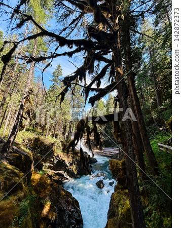 An amazing sunny view of gushing Silver Falls in Mt. Rainier National Park. An amazing sunny view of gushing Silver Falls in Mt. Rainier National Park. 142872373