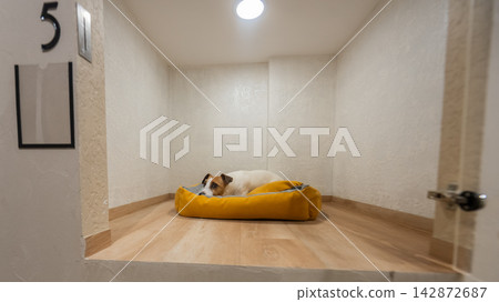 A Jack Russell Terrier in a capsule hotel for pets. The dog is behind a glass door. 142872687