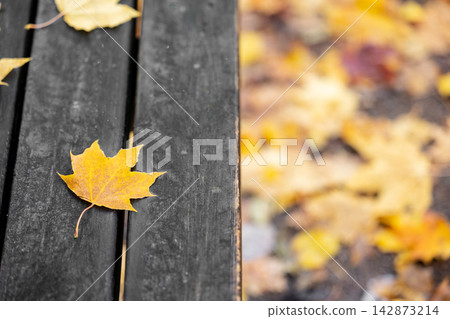 Fallen autumn foliage on a park bench on a sunny, warm autumn day. 142873214