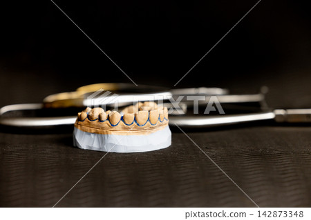 Dental plaster upper jaw model displayed on dark background illustrating tooth anatomy orthodontic study and professional dentistry training with blurred instruments Dental plaster upper jaw model displayed on dark background illustrating tooth anatomy orthodontic study and professional dentistry training with blurred instruments 142873348