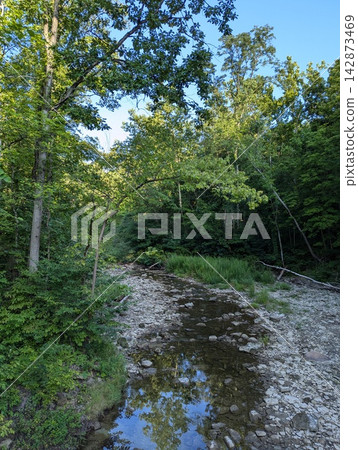 Shallow rocky creek flowing through a lush sunlit forest Shallow rocky creek flowing through a lush sunlit forest 142873469