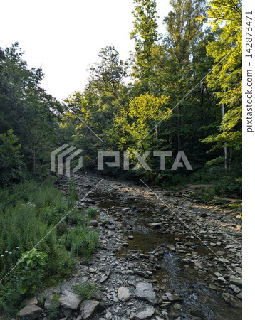 Shallow rocky creek flowing through a lush sunlit forest Shallow rocky creek flowing through a lush sunlit forest 142873471