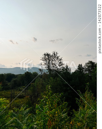 Lush forest landscape and mountains in North Conway, New Hampshire Lush forest landscape and mountains in North Conway, New Hampshire 142873522