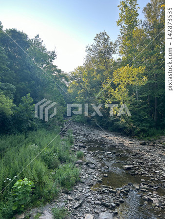 Rocky Brandywine Creek and forest in Cuyahoga National Park Rocky Brandywine Creek and forest in Cuyahoga National Park 142873535