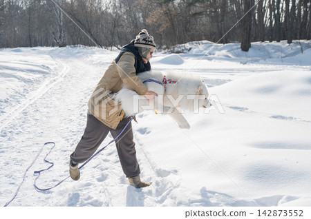 Young woman walking with fluffy samoyed dog in snowy winter park. Young woman walking with fluffy samoyed dog in snowy winter park. 142873552