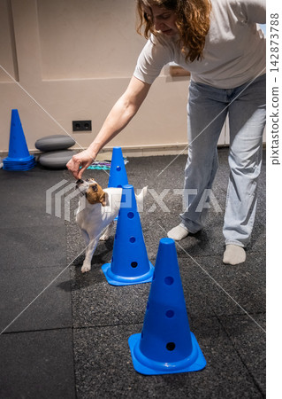 A dog performs the snake command with a dog handler. A dog performs the snake command with a dog handler. 142873788