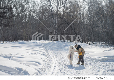 Woman training fluffy samoyed dog to give paw in winter snow Woman training fluffy samoyed dog to give paw in winter snow 142873899