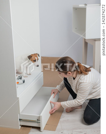 A Caucasian woman assembles furniture with her cute dog. A Caucasian woman assembles furniture with her cute dog. 142874272