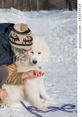 Young woman walking with fluffy samoyed dog in snowy winter park. Young woman walking with fluffy samoyed dog in snowy winter park. 142874414