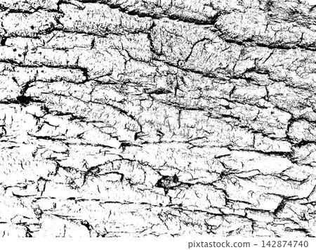 Weathered tree bark surface with irregular cracks and distressed wood texture Weathered tree bark surface with irregular cracks and distressed wood texture 142874740