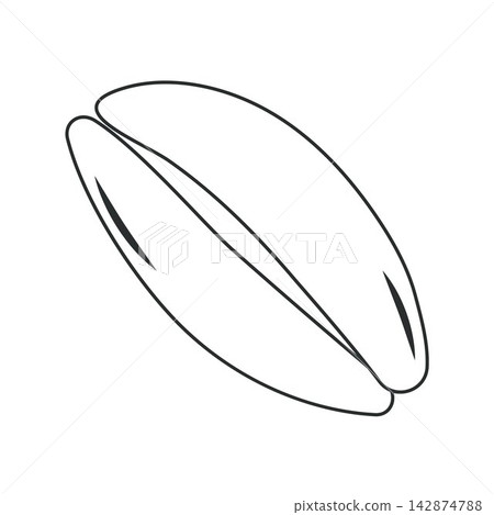 vector seashell in a minimalist style vector seashell in a minimalist style 142874788
