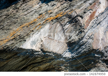 Ancient petroglyphs carved into rock at Tomskaya Pisanitsa in Siberia. Prehistoric rock art represents archaeological heritage and early human culture Ancient petroglyphs carved into rock at Tomskaya Pisanitsa in Siberia. Prehistoric rock art represents archaeological heritage and early human culture 142874950