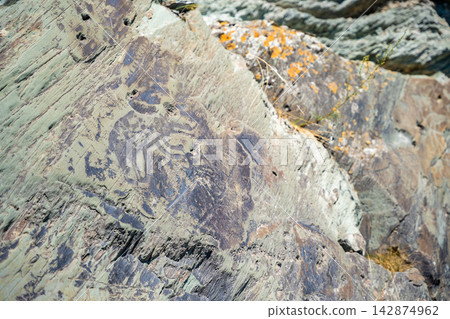 Ancient petroglyphs carved into rock at Tomskaya Pisanitsa in Siberia. Prehistoric rock art represents archaeological heritage and early human culture Ancient petroglyphs carved into rock at Tomskaya Pisanitsa in Siberia. Prehistoric rock art represents archaeological heritage and early human culture 142874962