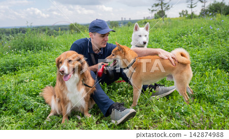 A Caucasian man walks with three dogs. Dog walker. 142874988