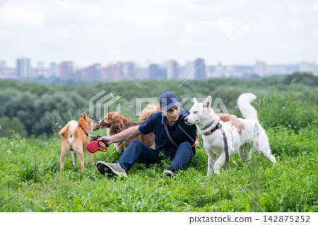 A Caucasian man walks with three dogs. Dog walker. A Caucasian man walks with three dogs. Dog walker. 142875252