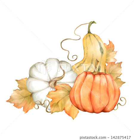Hand-drawn autumn pumpkin cluster with fall leaves Hand-drawn autumn pumpkin cluster with fall leaves 142875417