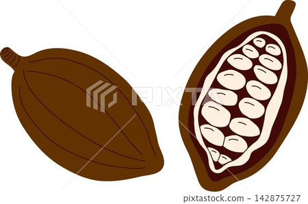 Cocoa Pod Whole and Cut Open Vector Cocoa Pod Whole and Cut Open Vector 142875727