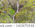 A beautiful waterfall in Bulgaria Goritsa in the spring. 142875938