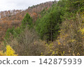 Autumn in park and forest. 142875939