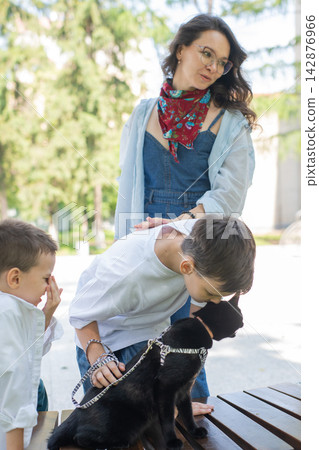 A woman and her two sons are walking a cat. A woman and her two sons are walking a cat. 142876966