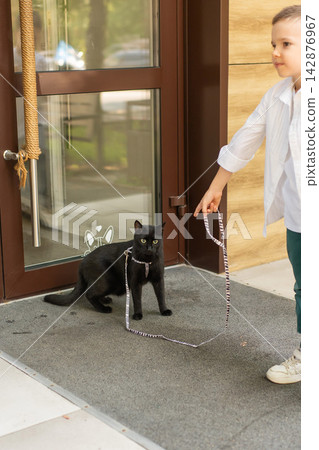 A Caucasian boy walks with a cat on a leash outdoors. A Caucasian boy walks with a cat on a leash outdoors. 142876967