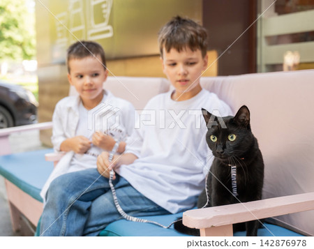 Two boys walking with a cat outdoors. Pet-friendly outdoor cafe. Two boys walking with a cat outdoors. Pet-friendly outdoor cafe. 142876978