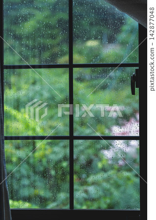 垂直構圖的畫面,畫面中可以看到格子窗內滴落的雨滴,背景是雨季的景象。 垂直構圖的畫面,畫面中可以看到格子窗內滴落的雨滴,背景是雨季的景象。 142877048