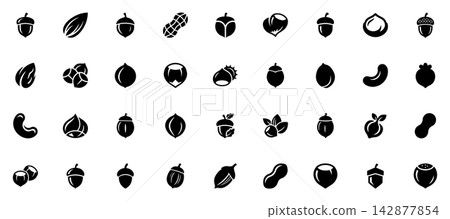 Set of various dried fruits, nuts, vector shape Set of various dried fruits, nuts, vector shape 142877854